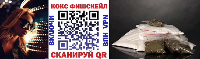 Купить закладки  Зима  COCAIN Fish Scale 