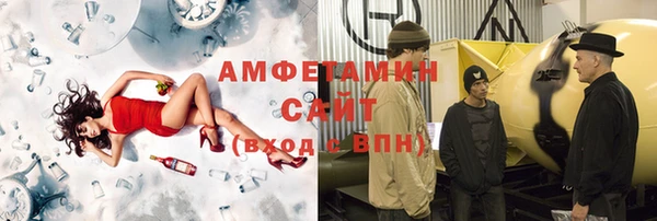 сатива Каменка