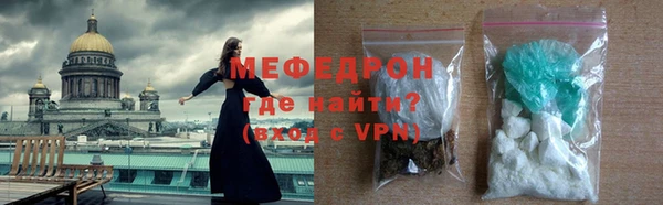 сатива Каменка
