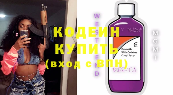 сатива Каменка