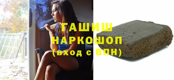 сатива Каменка