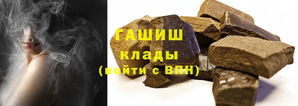 сатива Каменка