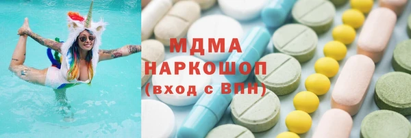 сатива Каменка