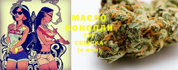 apvp Каменногорск