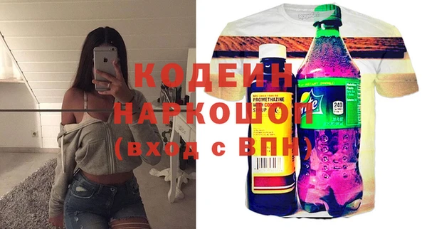 сатива Каменка