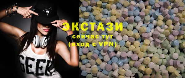 сатива Каменка