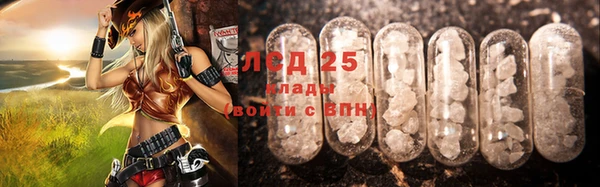 сатива Каменка