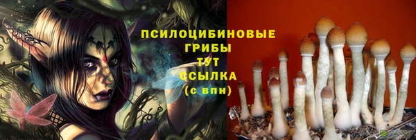 сатива Каменка