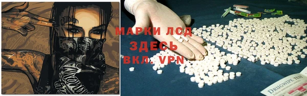 спиды Каменск-Шахтинский