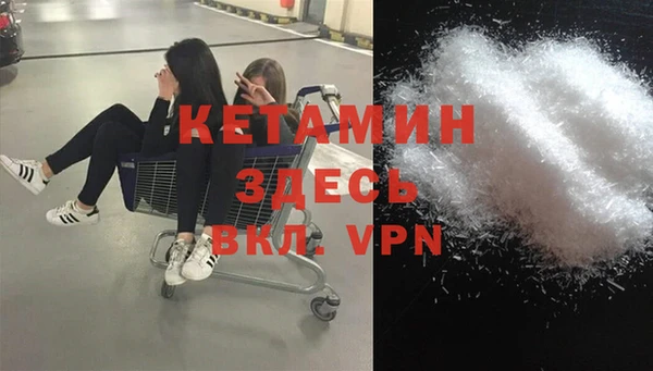 сатива Каменка