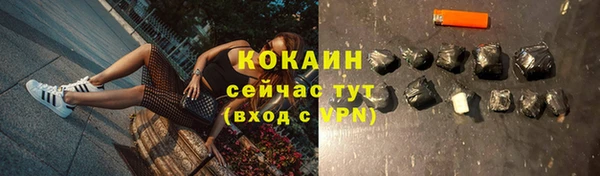 сатива Каменка